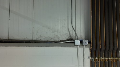 Cobwebs and dust around an electrical panel